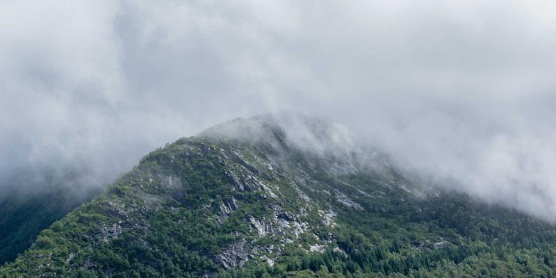 从边缘到核心：用户体验设计如何重塑软件开发流程——以必泰科技的系统集成实践为例