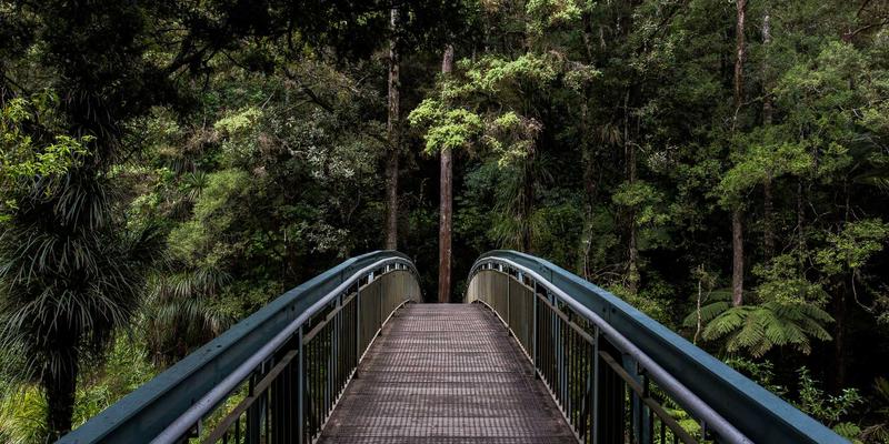 敏捷开发如何驱动企业数字化转型：打造高效协作的软件开发团队