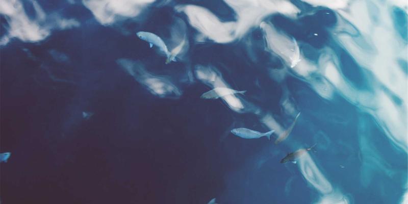 智慧园区新引擎：必泰科技AIoT平台如何重塑综合能源与安防管理