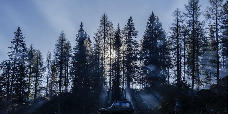 跨平台开发框架终极对决：2024年企业选型实战指南